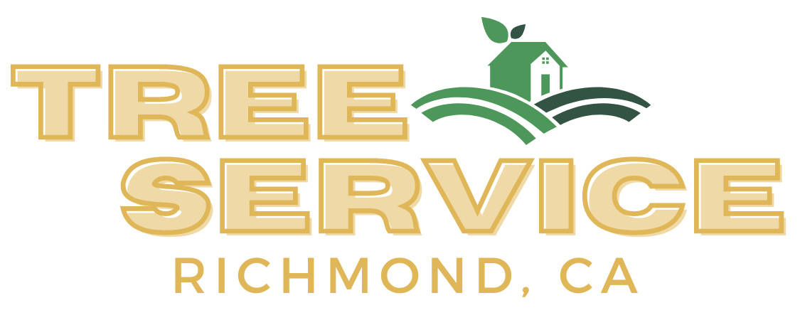 Quality Tree Service Richmond
