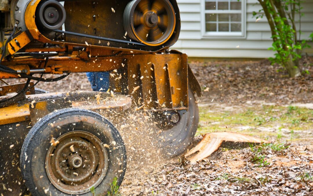 How long does stump removal typically take?
