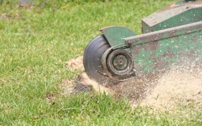 Safety Precautions When Using a Stump Grinder