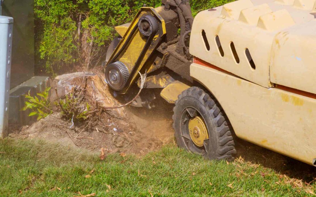What methods are most often used to quickly and effectively remove a tree stump?